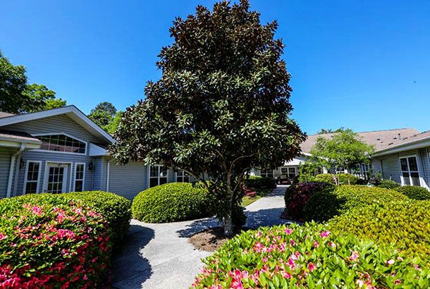 A scenic garden pathway lined with lush greenery and a tall tree on a sunny day.