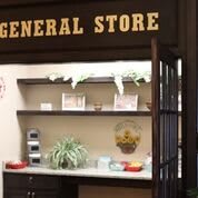 Interior view of a general store with shelves and decor.