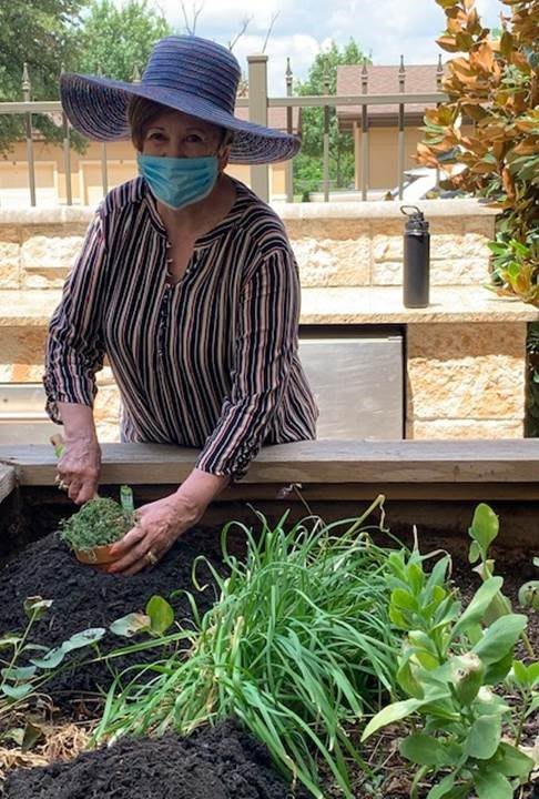A person wearing a hat and mask is tending to a vegetable garden.