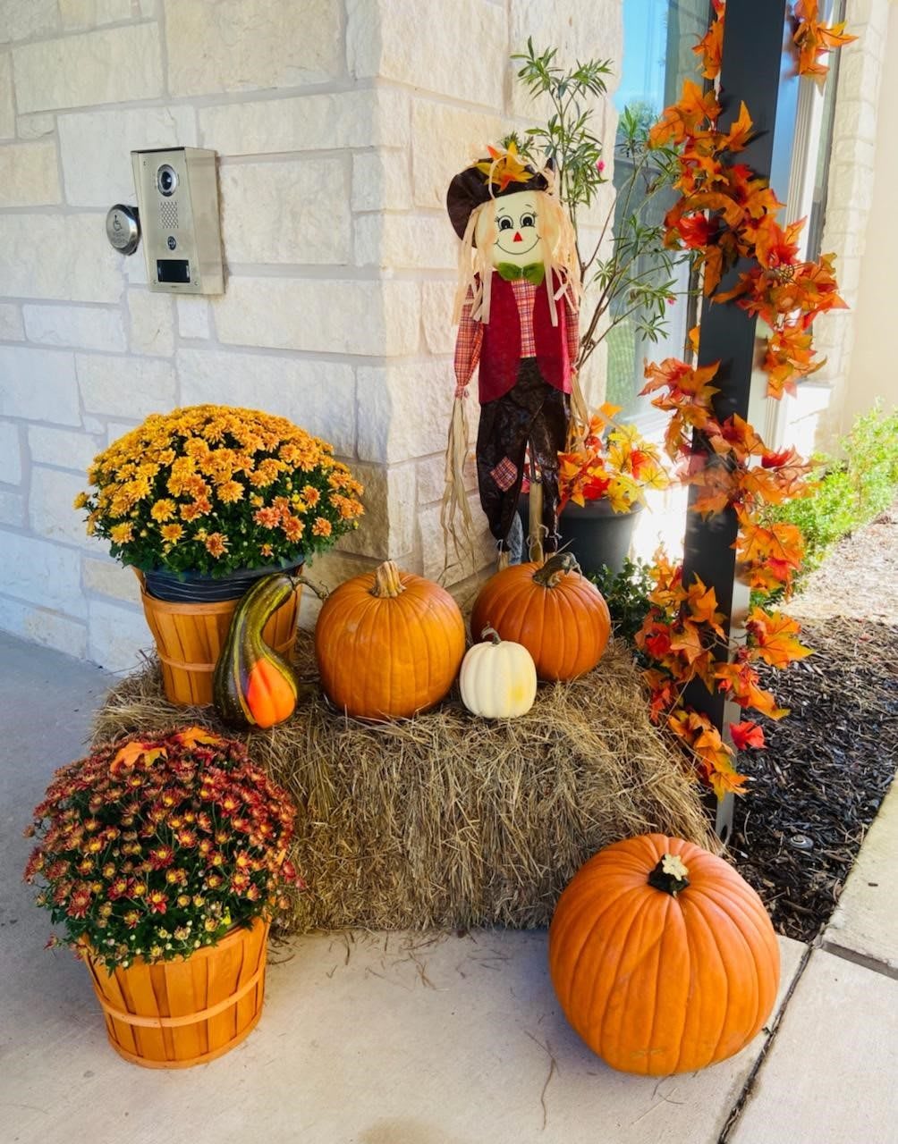 A festive autumn display with pumpkins, a scarecrow, and colorful mums.
