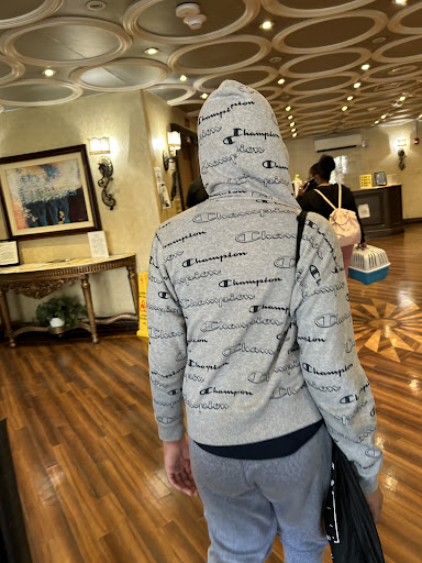 A person wearing a patterned hoodie stands in a hotel lobby.