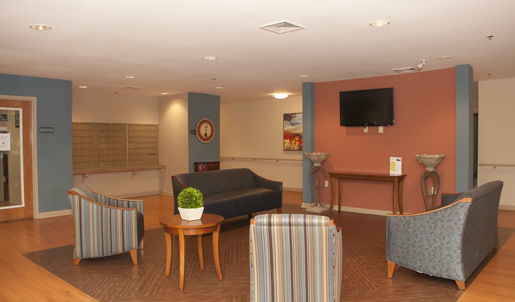 A cozy lobby area with seating, a television, and a small plant on a table.