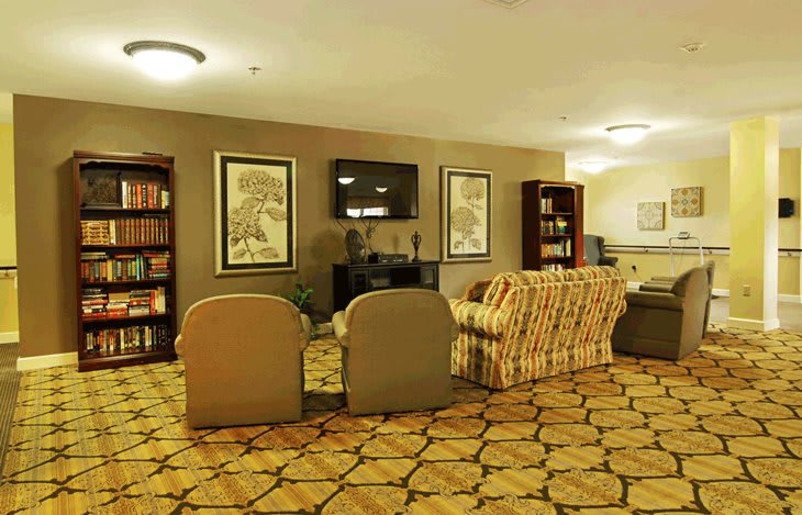 A cozy lounge area with sofas, armchairs, bookshelves, and a TV.