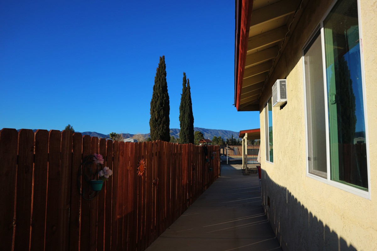 A pathway beside a building, with tall trees and a clear blue sky.