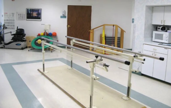 Livingston Health & Rehabilitation Center