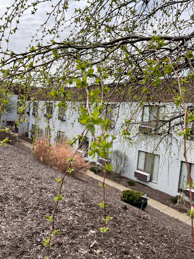 A view of an apartment building surrounded by emerging spring foliage.