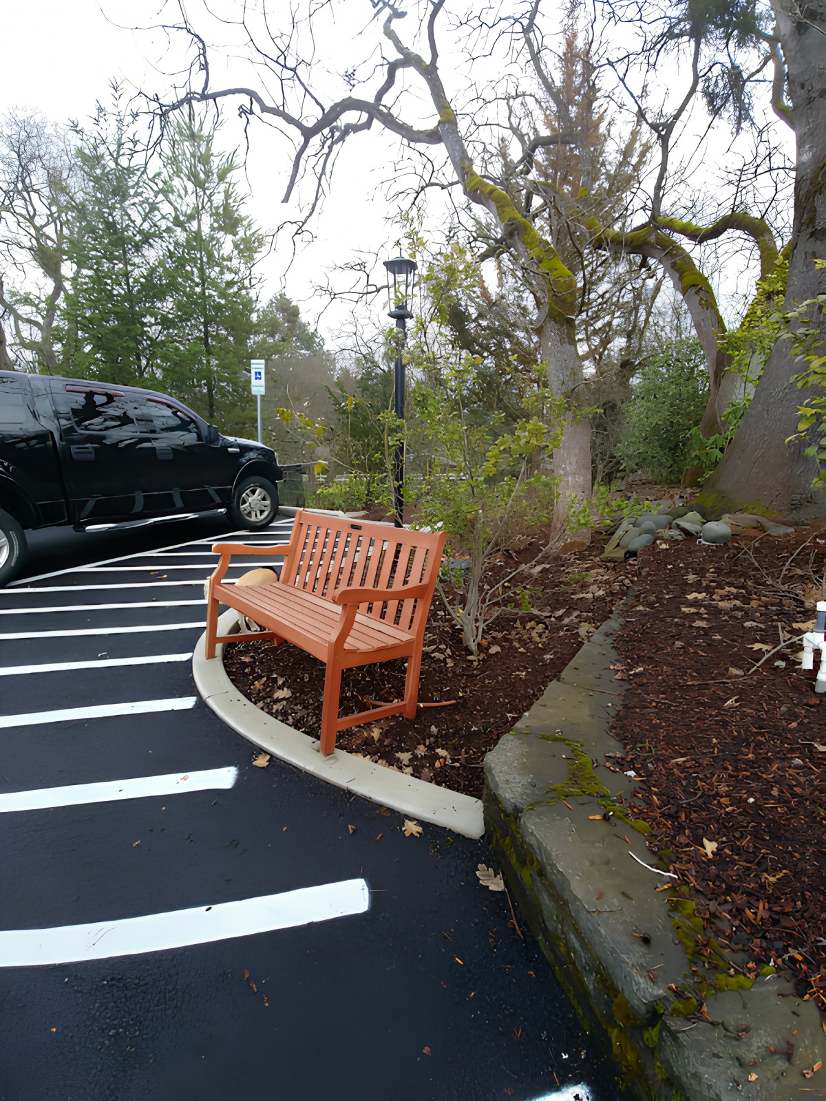 A wooden bench in a parking lot surrounded by trees and greenery.