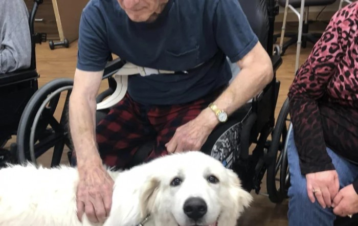 Best Care Nursing & Rehab Center