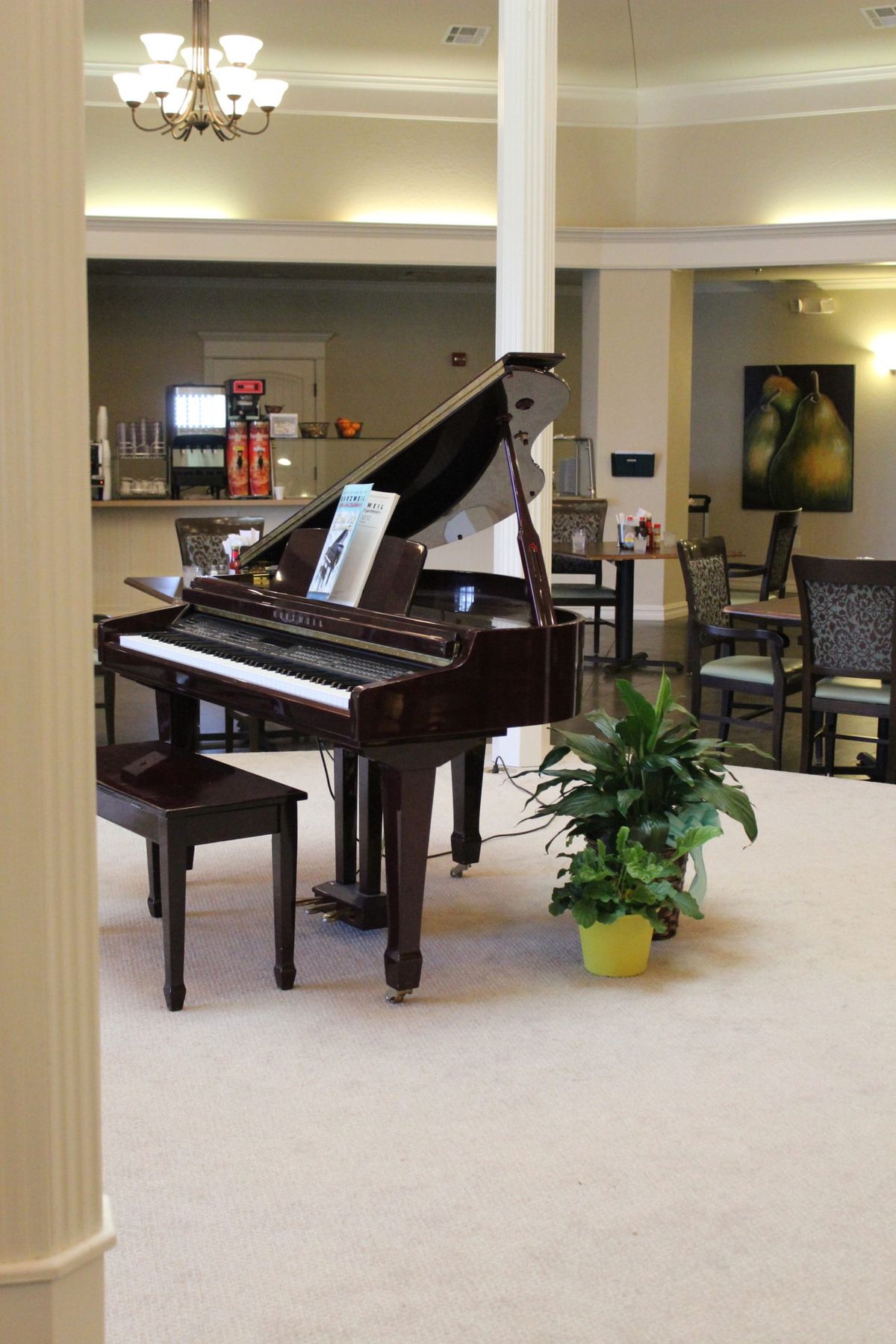 A grand piano is elegantly placed in a cozy indoor setting with chairs and tables nearby, accompanied by a potted plant.