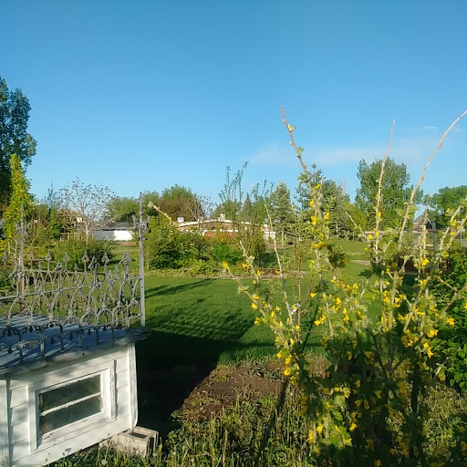A serene view of a lush garden under a clear blue sky.