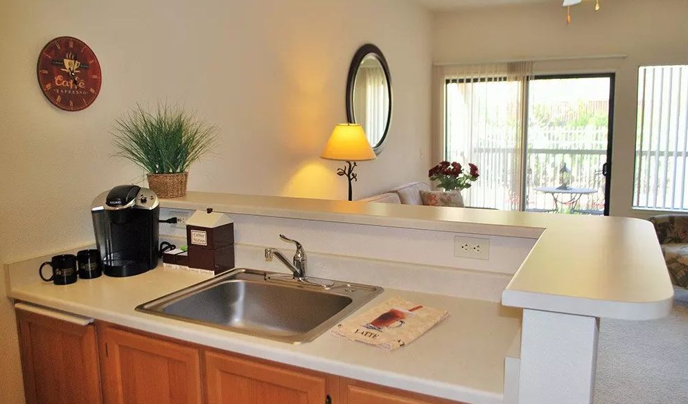 A cozy apartment kitchen with a sink, countertop, and decorative elements like a lamp and plants.