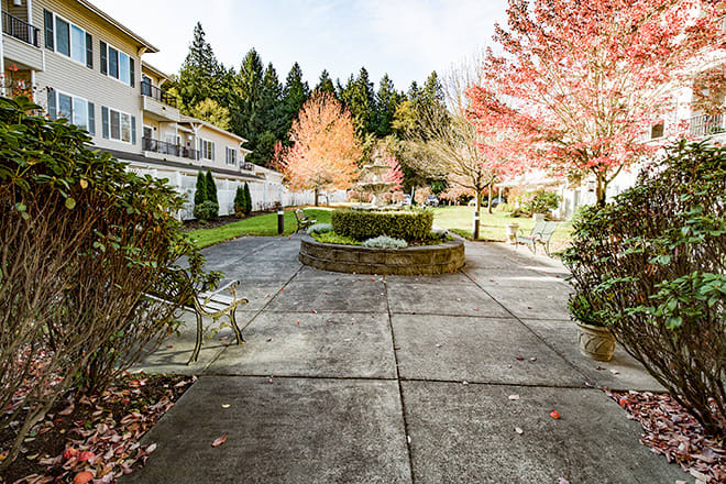 A tranquil garden pathway lined with benches and autumn foliage.