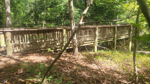 A wooden bridge nestled in a lush green forest, providing a serene path through nature.