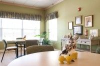 A brightly lit room with green walls, featuring lemon-themed decor and comfortable seating.
