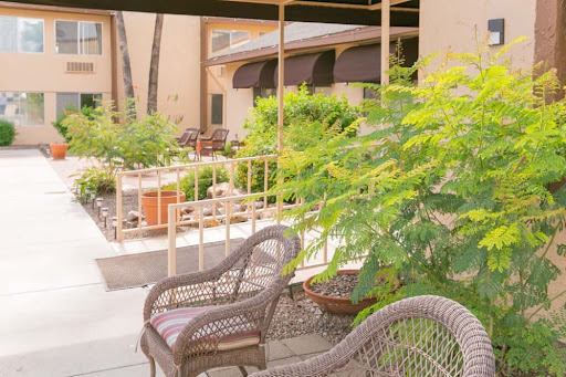 A tranquil outdoor seating area surrounded by lush greenery, perfect for relaxation.