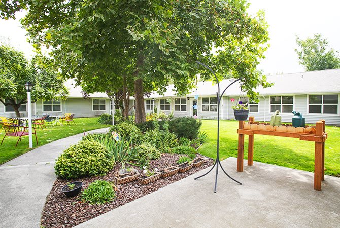 A serene courtyard garden with a pathway, lush greenery, and a variety of plants surrounding the area.