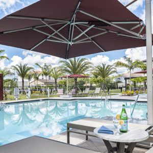 A serene outdoor swimming pool area with lounge chairs and umbrellas, surrounded by palm trees on a sunny day.