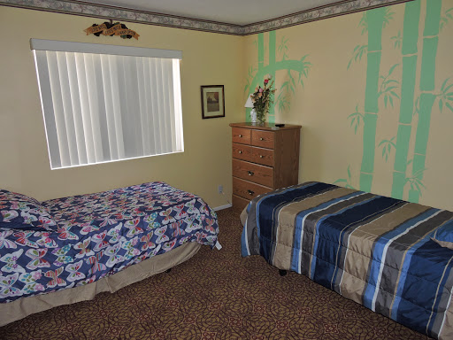 A cozy bedroom featuring two different styled beds, a chest of drawers, and natural light coming through the window.