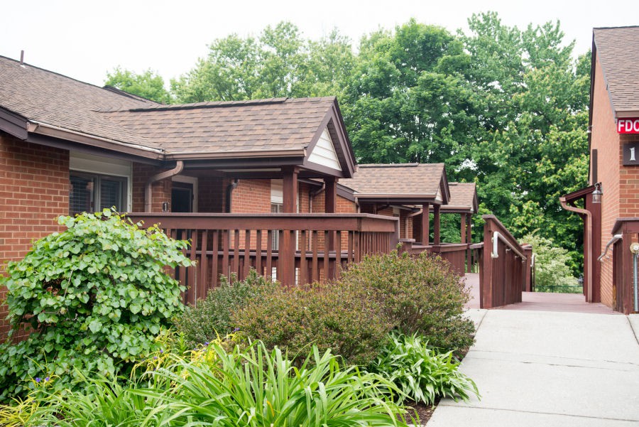 A cozy house with a wooden deck surrounded by lush greenery.