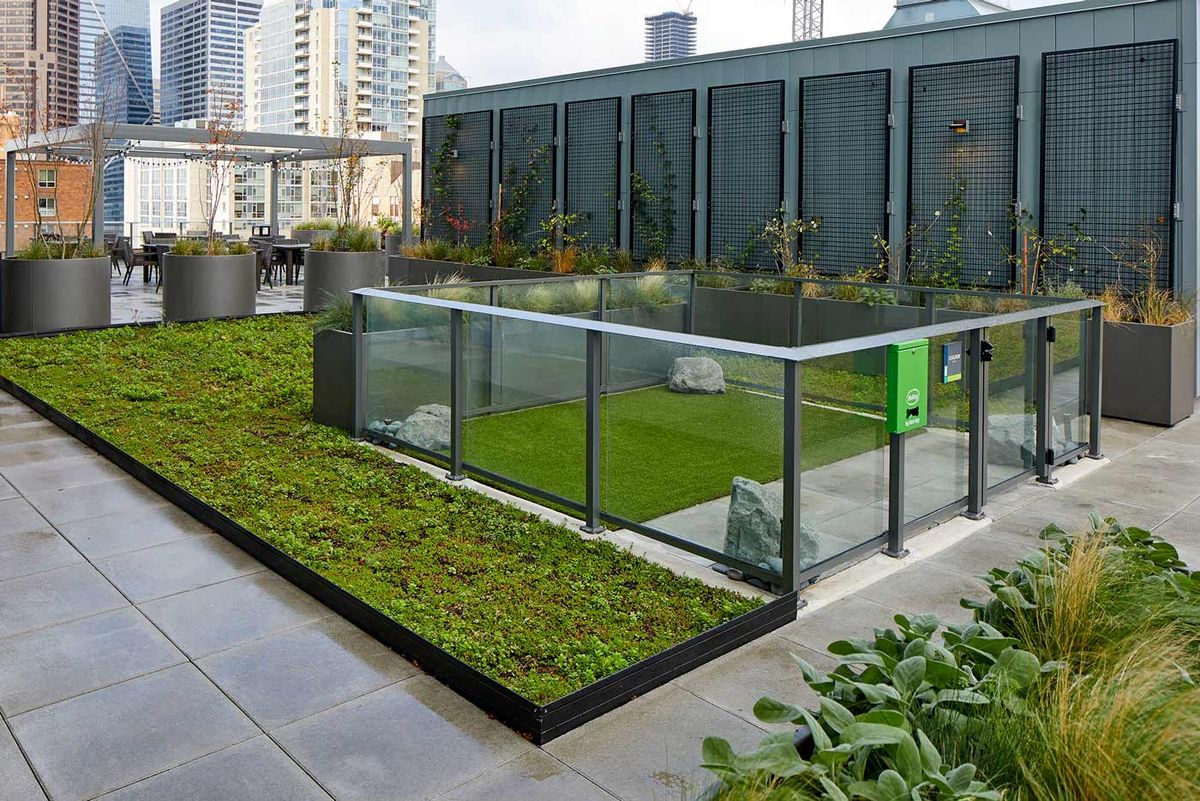 A modern rooftop garden featuring lush greenery and sustainable design elements amidst an urban cityscape.
