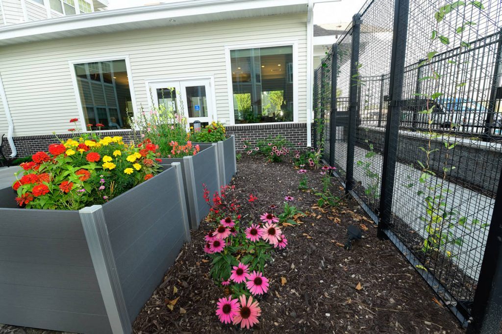 A neatly landscaped garden with vibrant flowers beside a building.