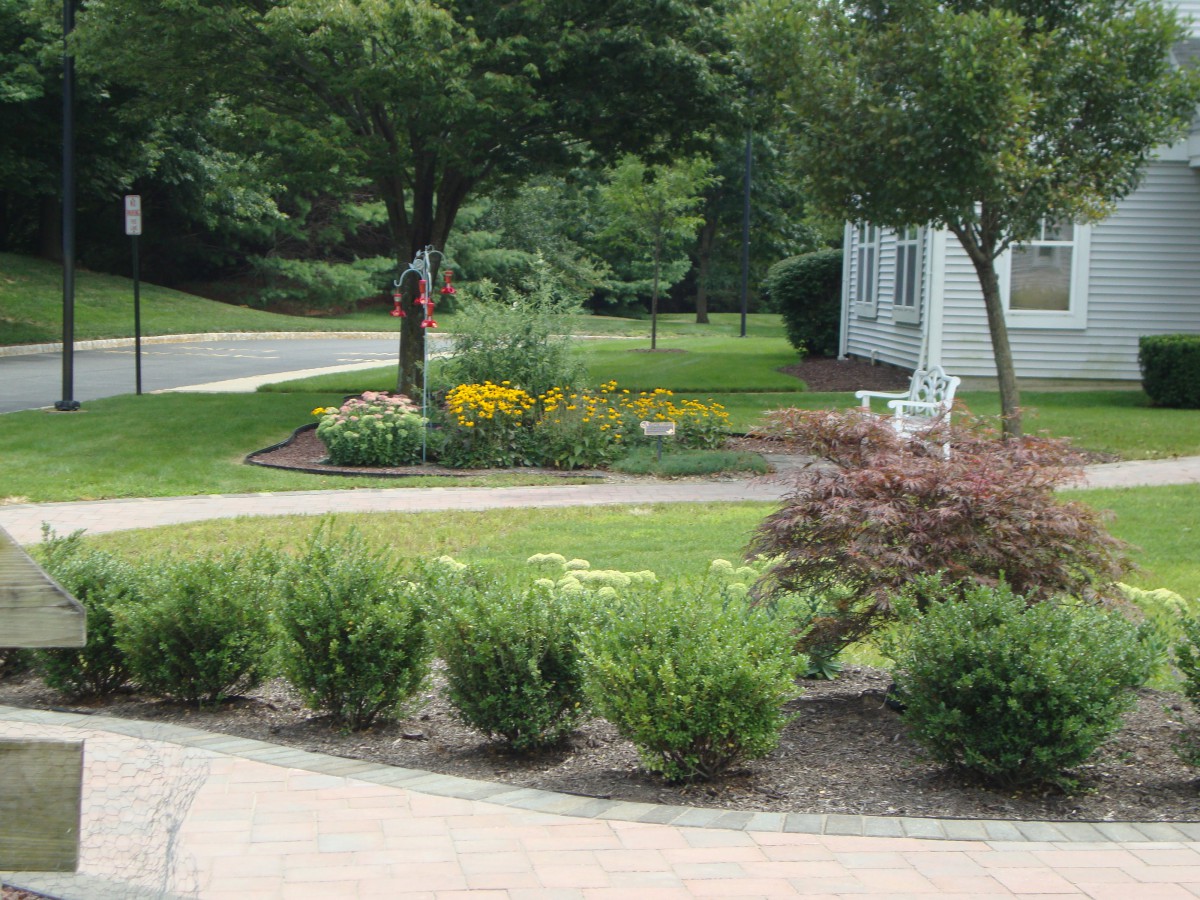 A well-maintained garden with a variety of shrubs and colorful flowers surrounded by a lawn and trees.