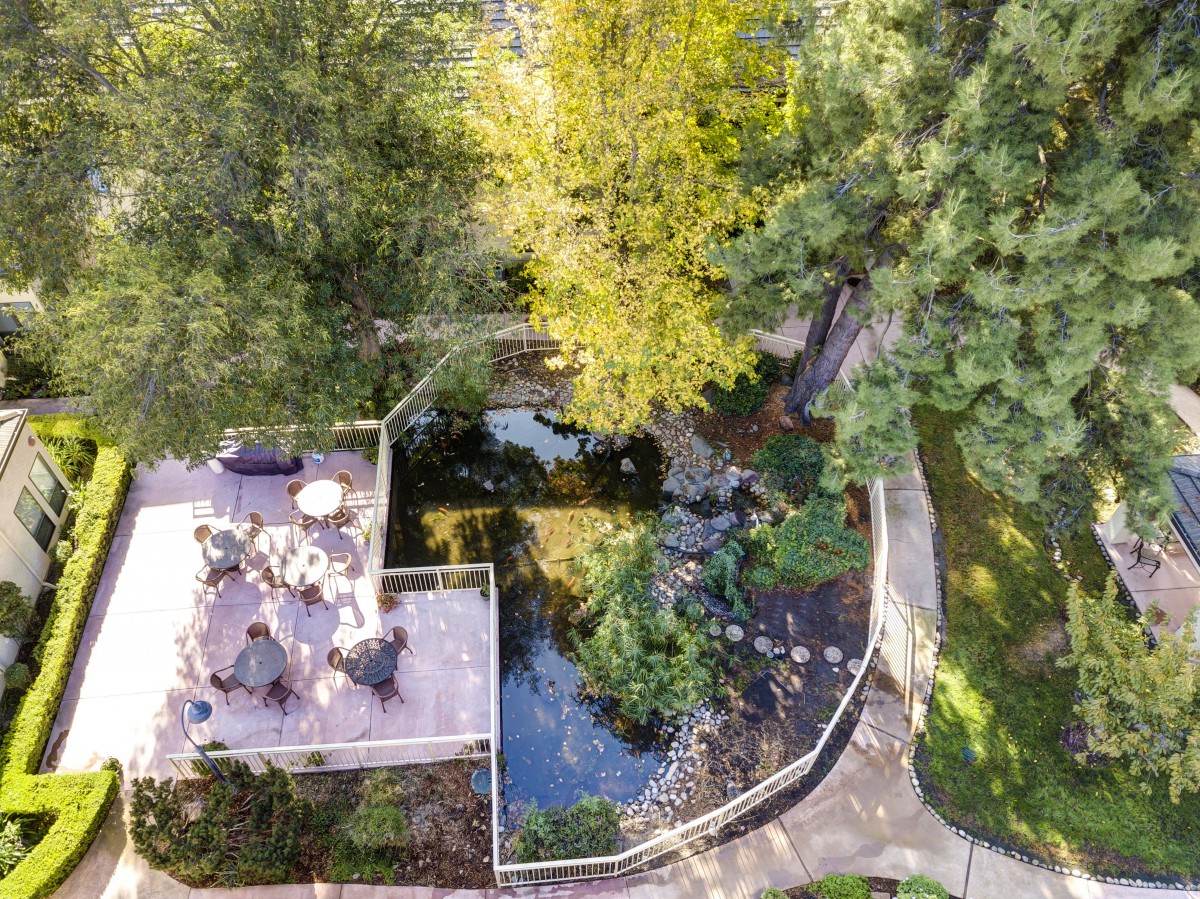 Aerial view of a backyard with a pond, surrounded by trees and a patio area.