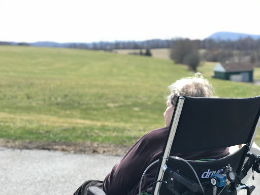 A serene view of a person in a wheelchair looking out over a vast green landscape.