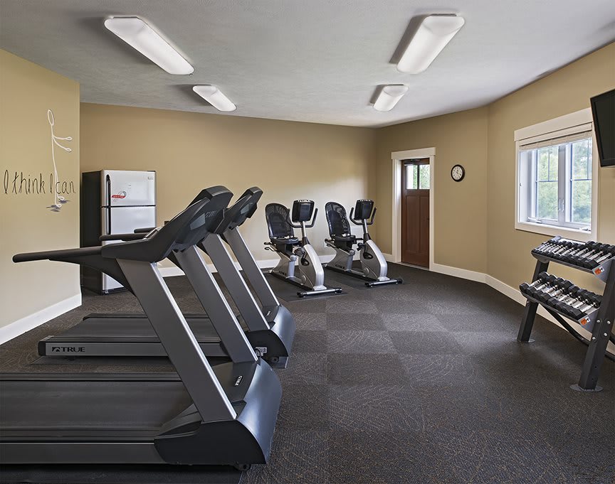 A modern gym with treadmills and exercise bikes arranged neatly.