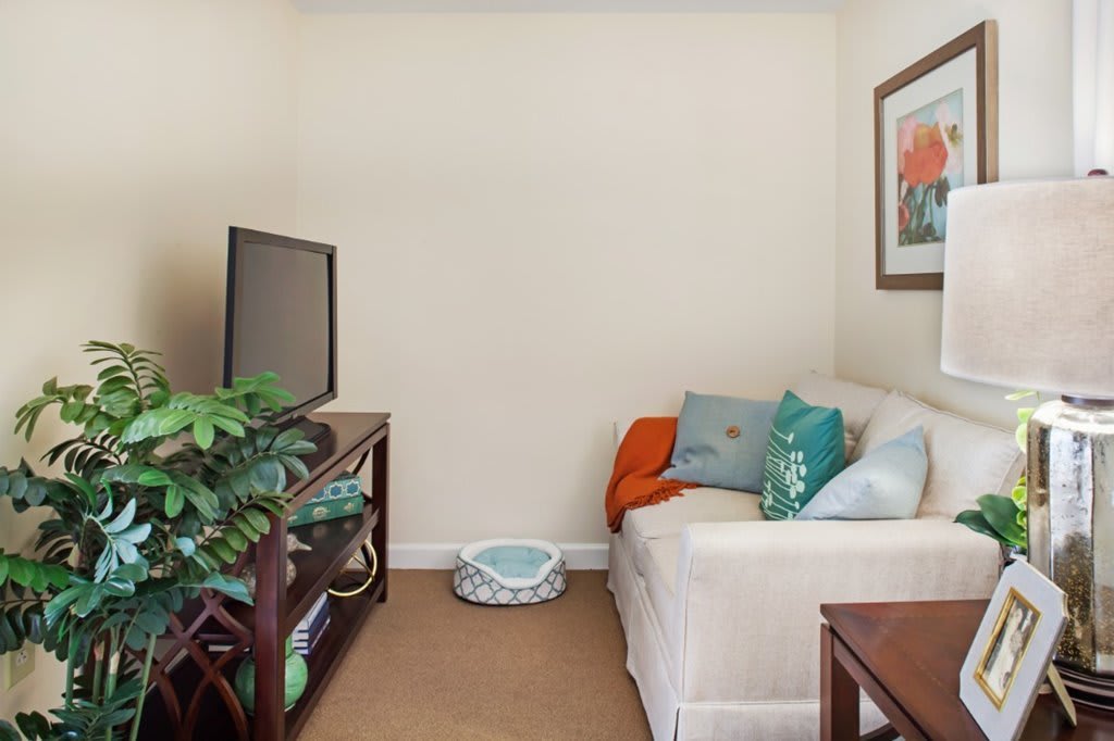 A cozy living room corner with a sofa, TV, and decorative elements.