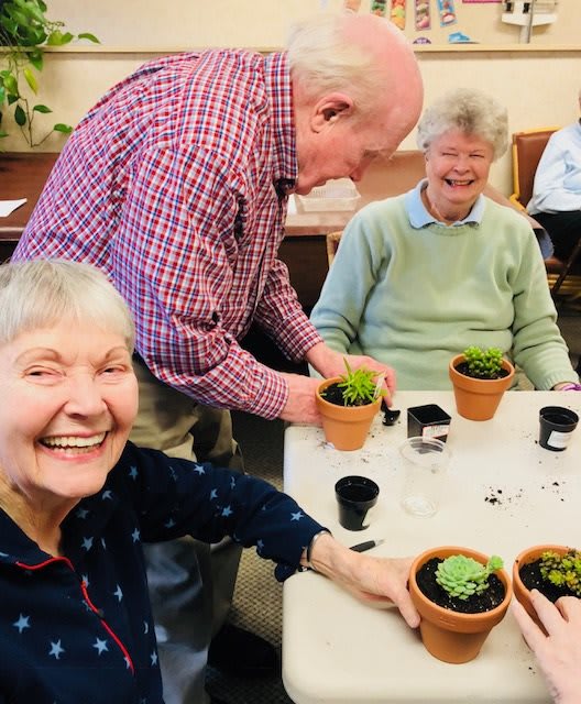 A group of seniors enjoying a gardening activity indoors, each holding a small potted plant and smiling together.