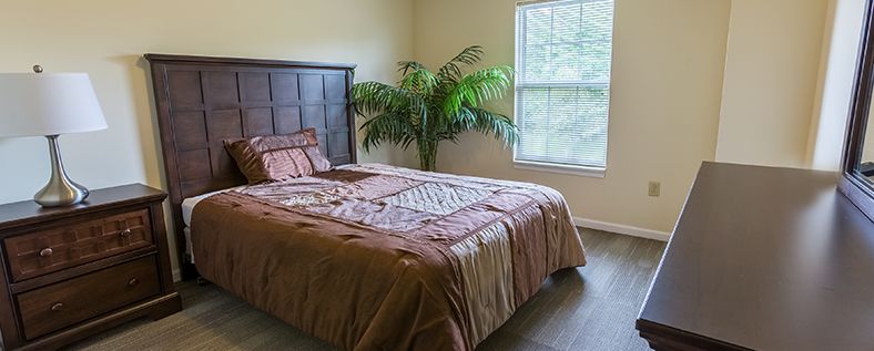 A cozy bedroom with a neatly made bed and a potted plant by the window.