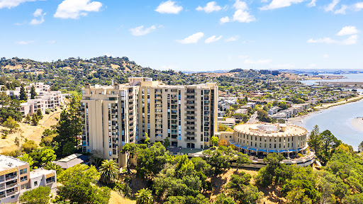 Tamalpais