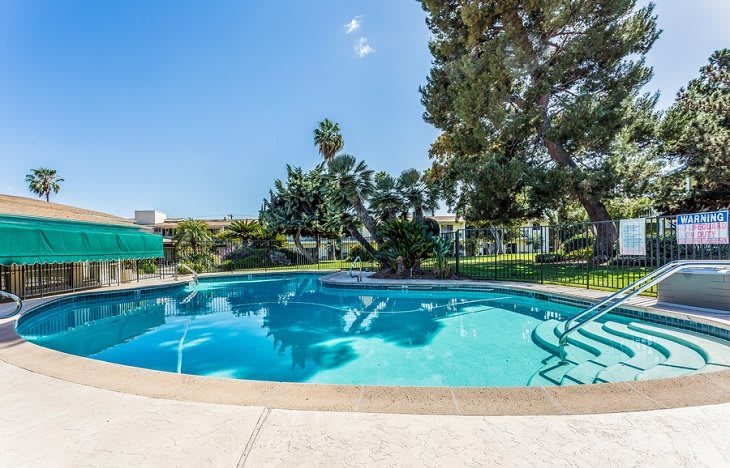 A tranquil outdoor swimming pool surrounded by trees under a clear, sunny sky.