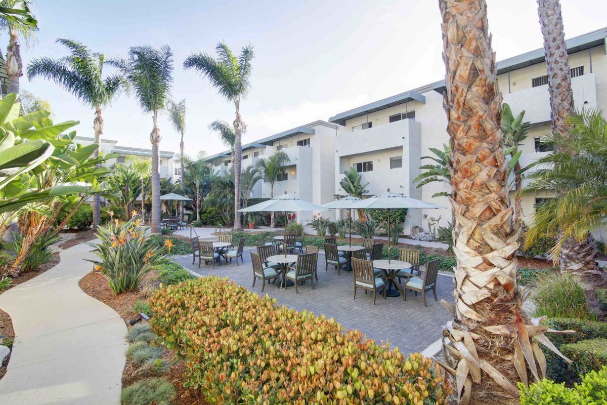 A hotel patio area with outdoor seating surrounded by palm trees and lush landscaping.