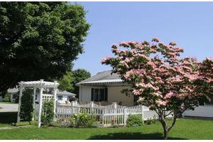 A charming house with a white picket fence and a blooming tree in the garden.