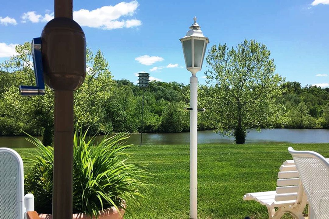A serene view of a lake surrounded by lush greenery and trees, with a white lamp post in the foreground under a clear blue sky.