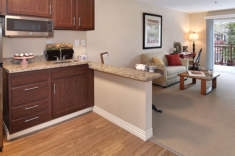 A cozy living space with a kitchen area, featuring wooden cabinets and a granite countertop.
