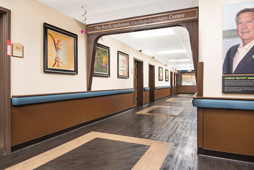 A well-lit hallway adorned with various art pieces and wooden flooring, showcasing a blend of elegance and creativity.