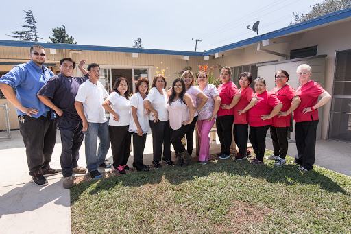 A cheerful team gathering outside their workplace, showcasing camaraderie and teamwork.