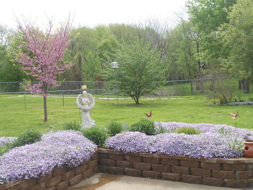 A serene garden view showcasing vibrant flowers and lush trees.