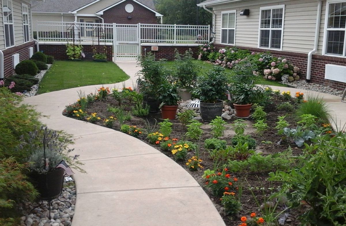 A landscaped garden with a winding pathway, lined with various plants and flowers in a residential area.