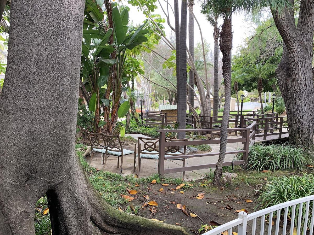 A serene park setting with a pathway surrounded by trees and benches.