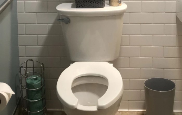 A neatly maintained toilet in a tiled bathroom.