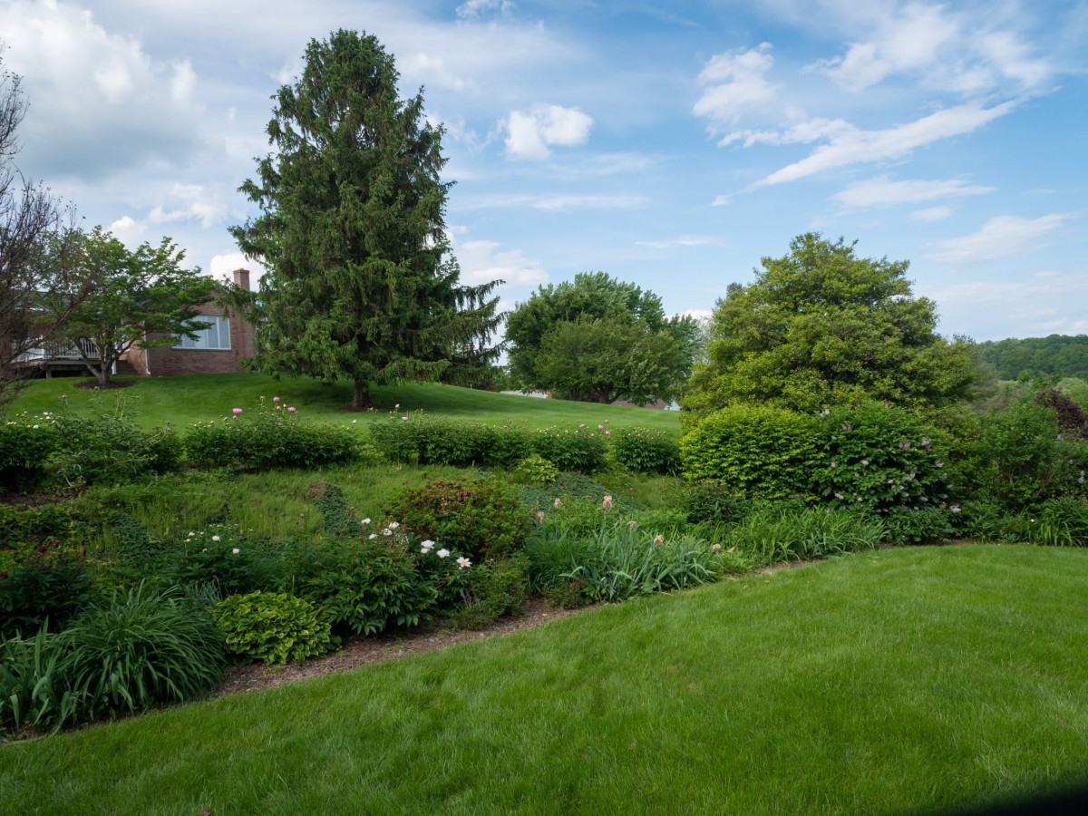 A beautifully landscaped garden with lush greenery and a clear blue sky.