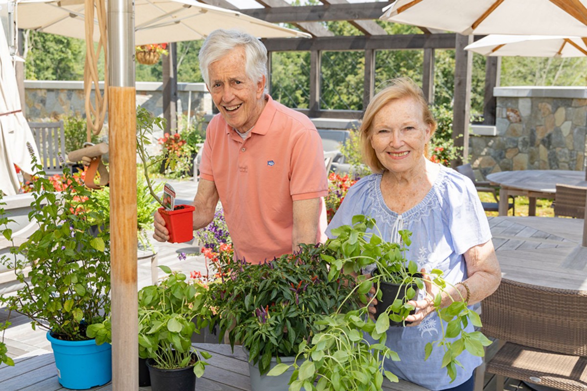 An elderly couple enjoying a day of gardening in a greenhouse.