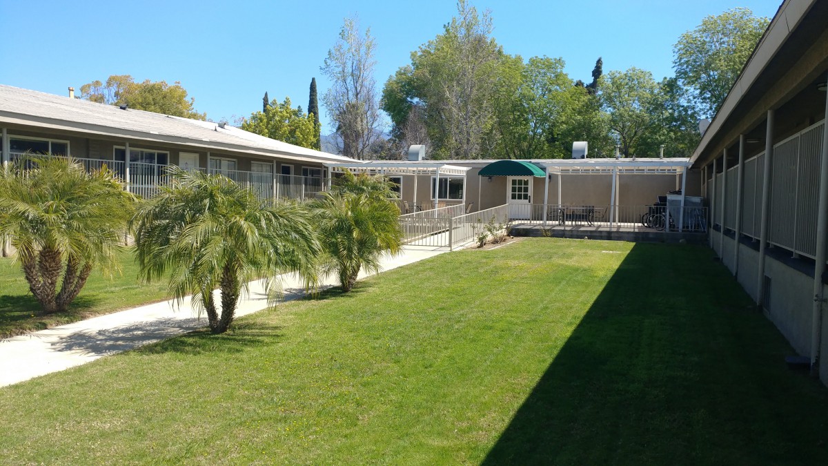 A sunny courtyard with palm trees and a grassy area surrounded by buildings.