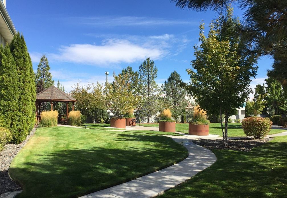 A serene park with a winding walkway, surrounded by lush grass and trees, featuring a gazebo under a clear blue sky.