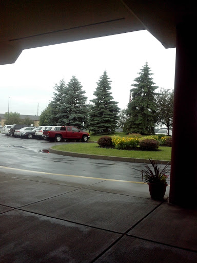 A view of a rainy parking lot with trees and parked vehicles.