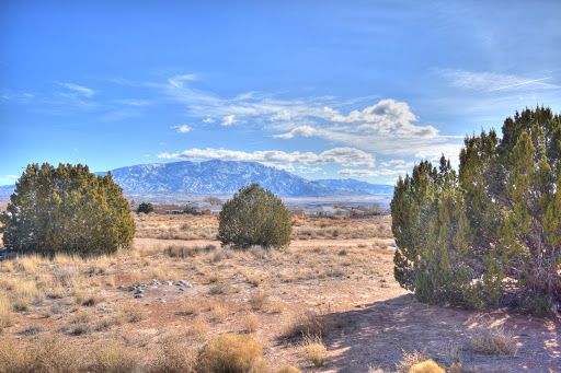 A serene desert landscape framed by shrubs, with distant mountains under a clear blue sky.